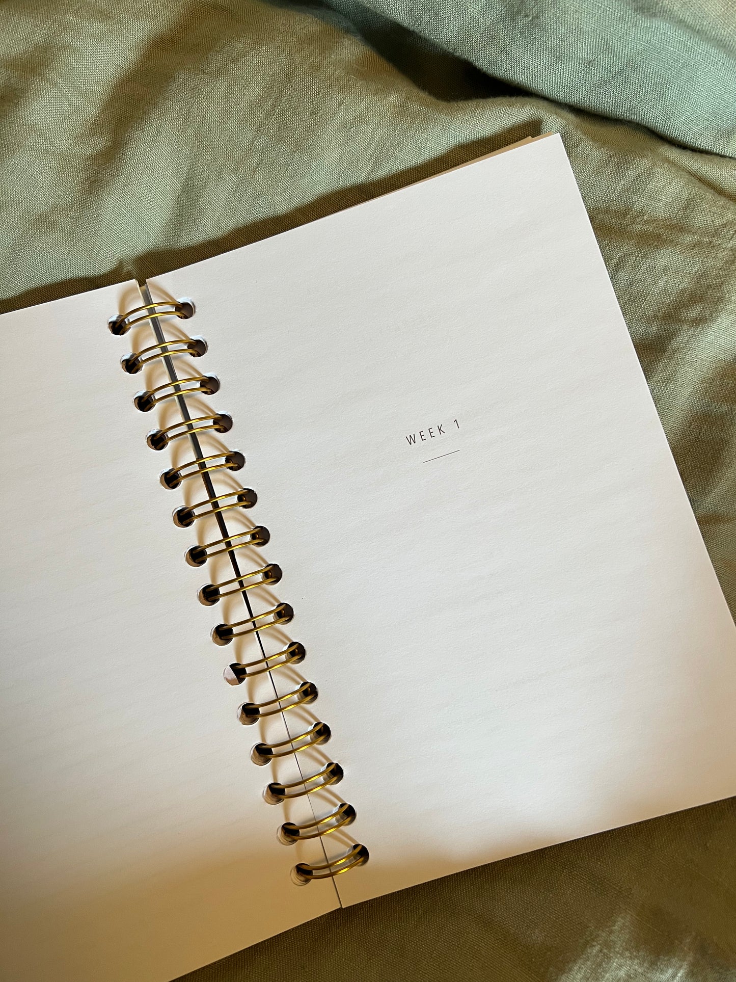 Promptly Postpartum Journal