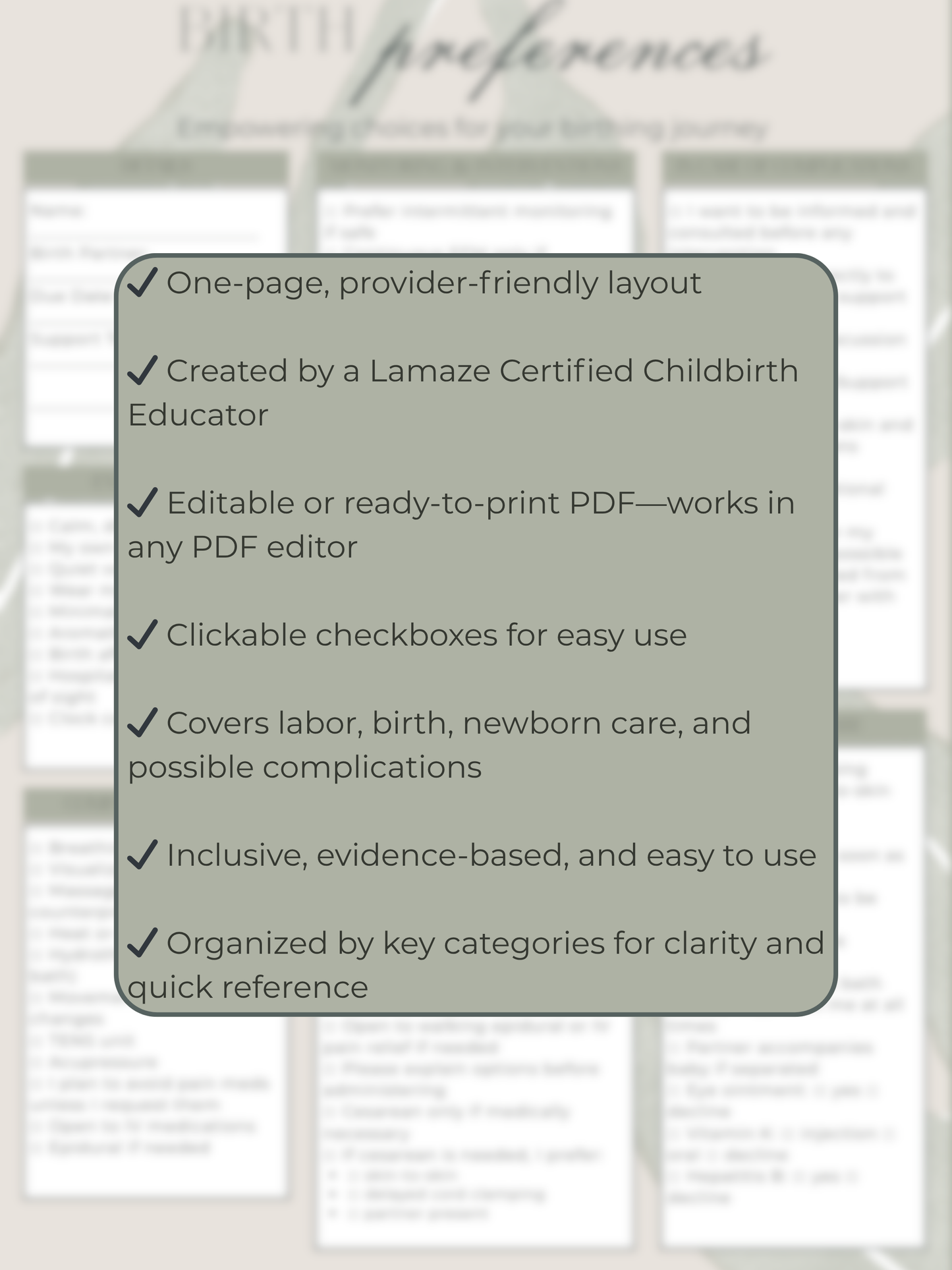One-Page Birth Plan & Preferences Template (Digital PDF)