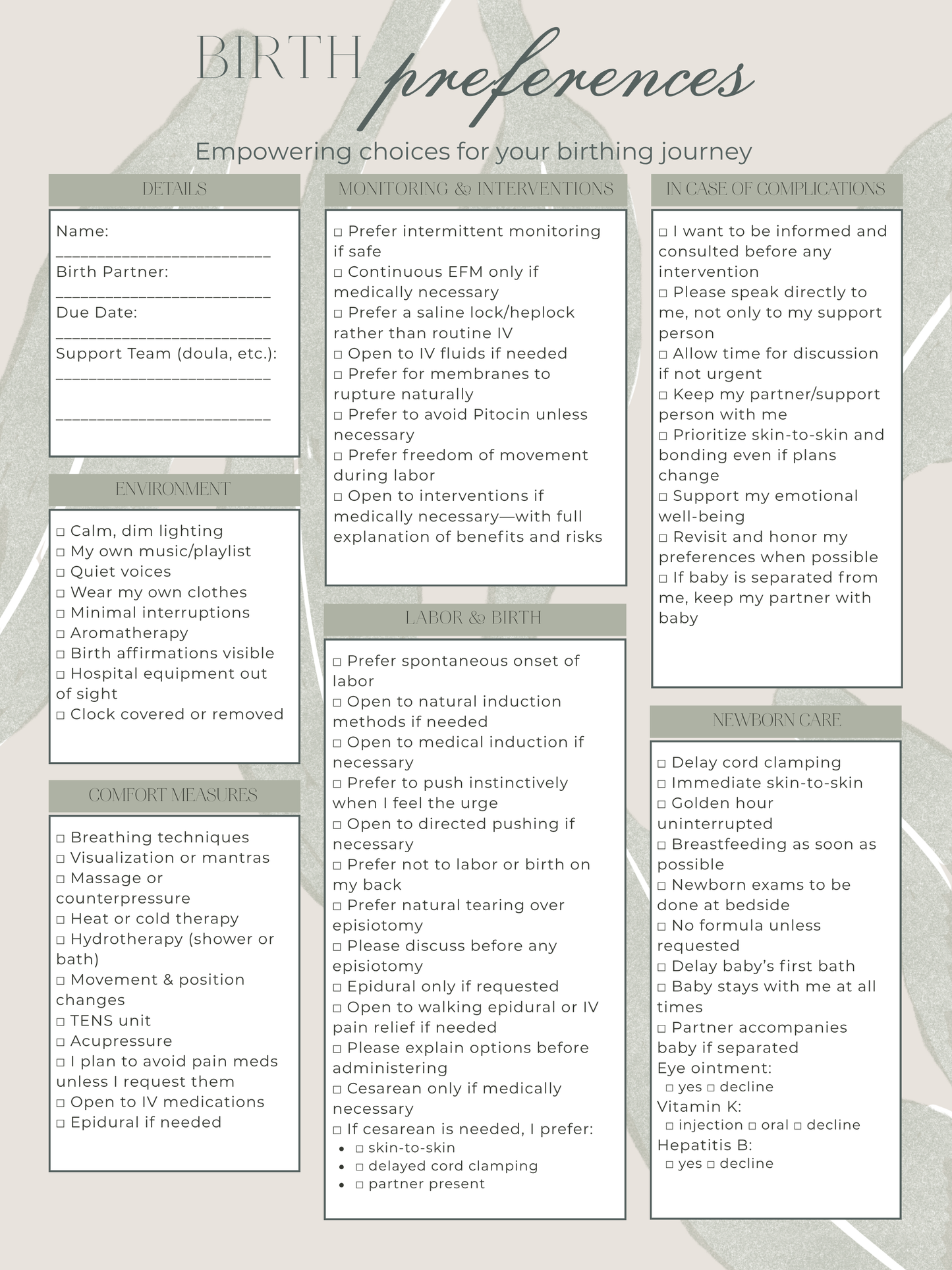 One-Page Birth Plan & Preferences Template (Digital PDF)
