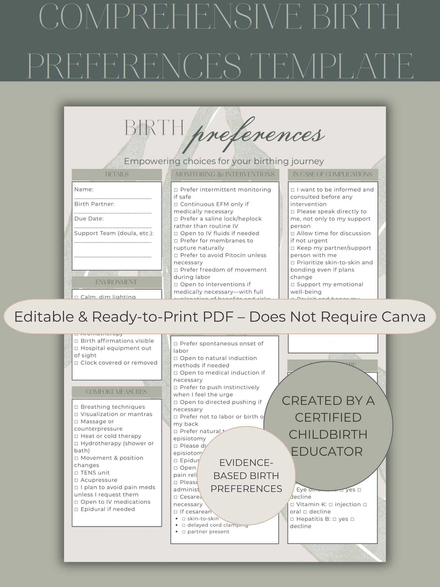 One-Page Birth Plan & Preferences Template (Digital PDF)